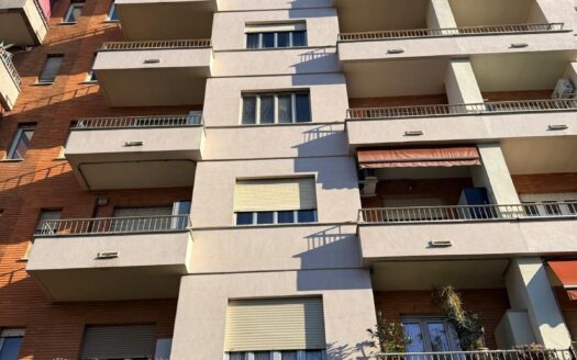 CORSO MONTECUCCO SIGNORILE AMPIO BILOCALE PERFETTE CONDIZIONI INTERNE