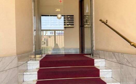 CORSO MONTECUCCO SIGNORILE AMPIO BILOCALE PERFETTE CONDIZIONI INTERNE
