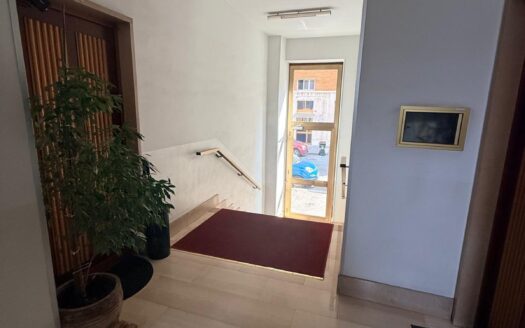 ATTICO AMPIO BILOCALE RISTRUTTURATO